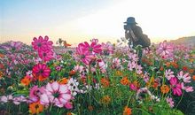 带着明媚的春光出发