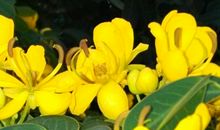 今年春天我很拼