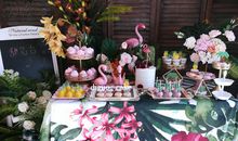 生日聚会真有趣