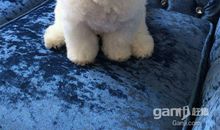 我是个有爱心的人