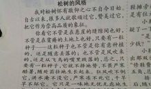 描写松树的作文