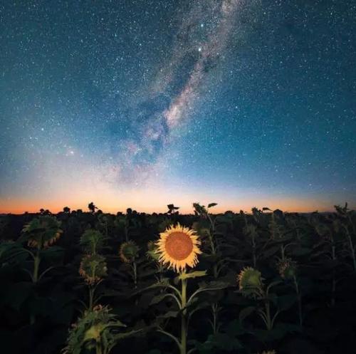 这样的人给我希望