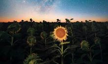 这样的人让我心生希望