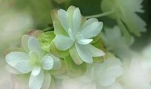 做一阵风，真好