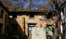 秋天的农家小院