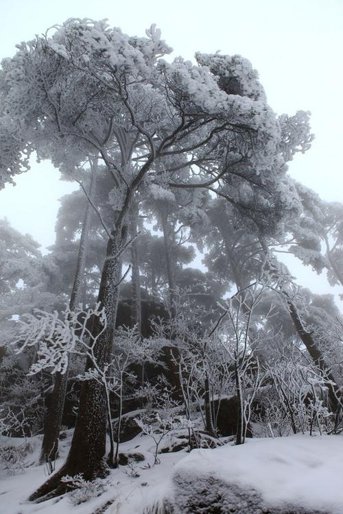 下雪天