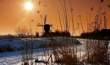 七年级我学会了虚心接受