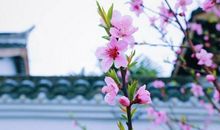 珍惜过去的每一刻