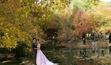 抓住幸福的尾巴