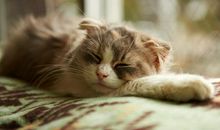 这也是一份善意