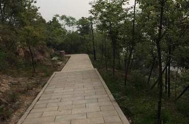 美丽的龙山公园