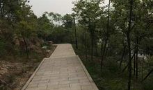 美丽的隆山公园