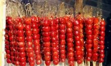 冰糖葫芦的滋味