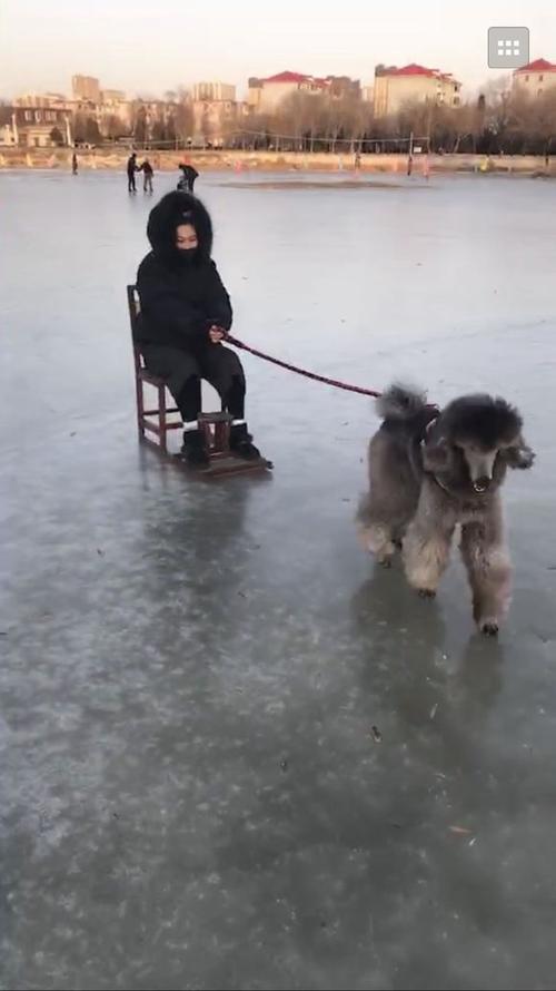 第一次玩冰