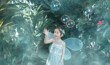 寻找春天的精灵