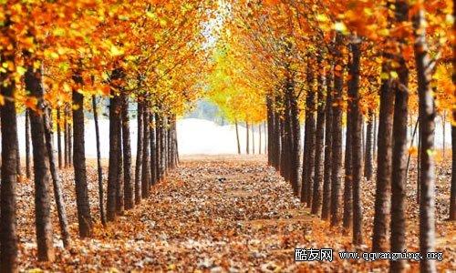 一个发生在初秋的故事