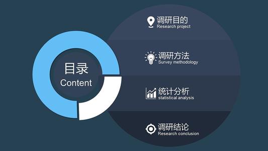 调查报告