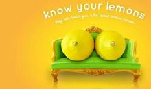 终于，我读懂了柠檬