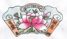 开卷有益还是开卷未必有益