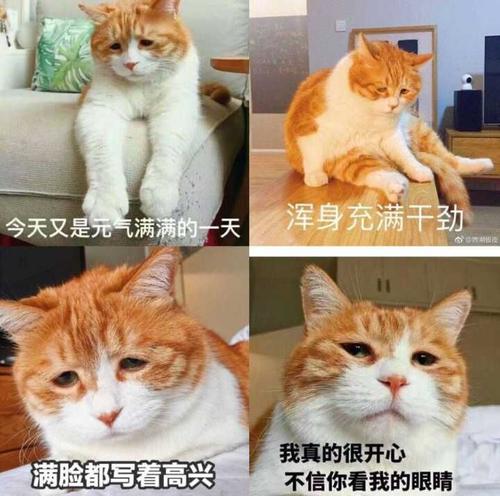 今天开心
