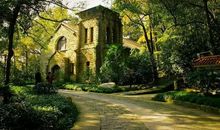 藏在心里的那句话