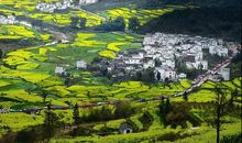 雪霁之后踏春去