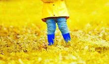 秋天里的一把伞