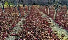 不该错过的光阴