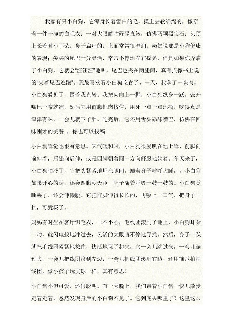 关于怕狗的构图