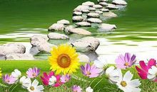 两块石头的故事