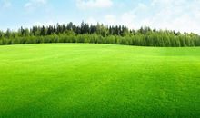 一件值得赞扬的事