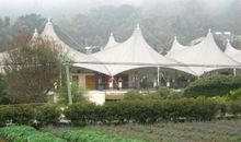 他是一道靓丽的风景线