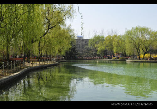 春天公园