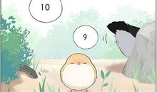 和我捉迷藏的麻雀