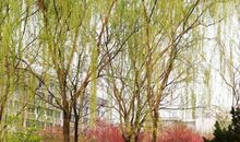 战胜困难的路上洒满阳光