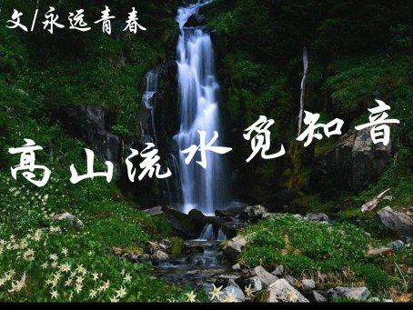 永远的青春