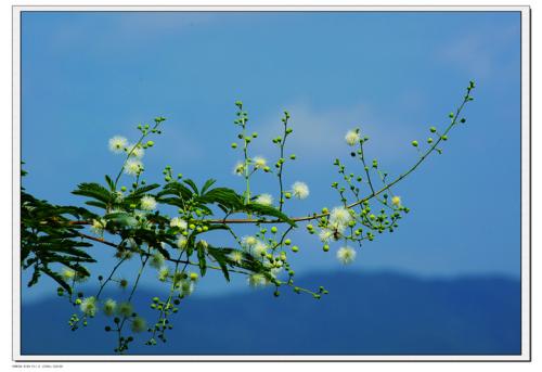 春天万物复苏