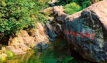 携手共建森林城市