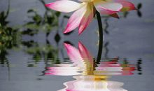 从不后悔爱上你