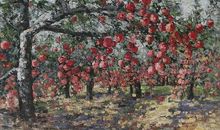 苹果树下的收获