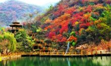 我爱五彩缤纷的秋天