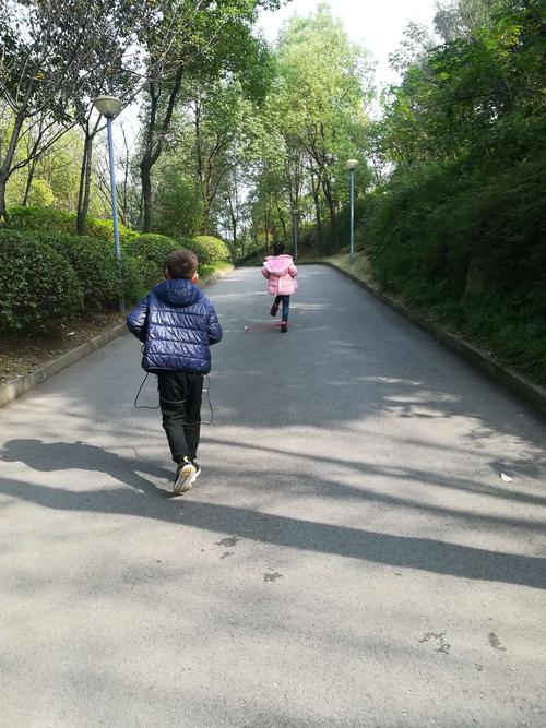 追奶奶