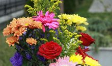 我心中美丽的花