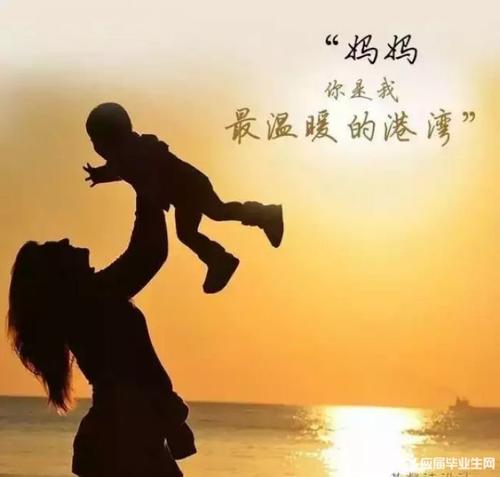 夏夜的母爱