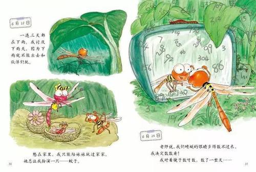 蜻蜓是个气象员