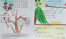 我最喜欢的一句诗