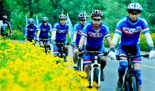 来自马路那端的帮助