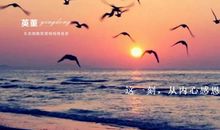 我发现了生命的奇迹