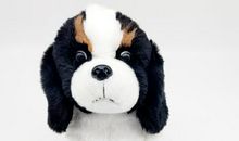 玩具给我带来的烦恼