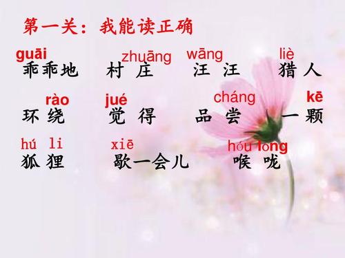 中文，还剩下我什么